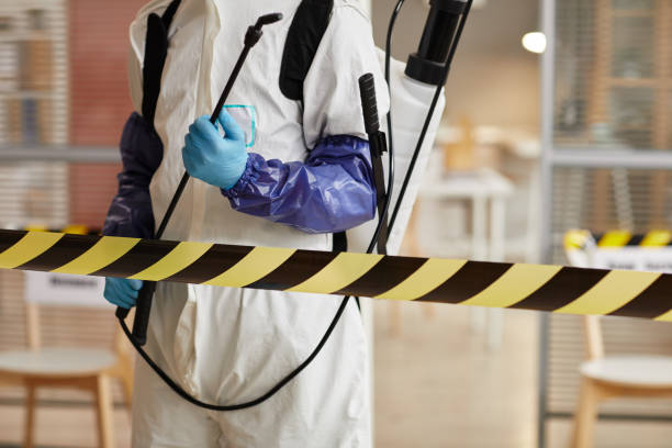 Professional Sewage Cleanup technician working in Craig, CO